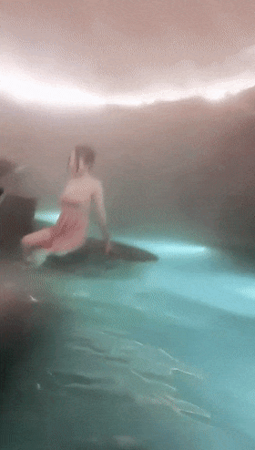4.gif