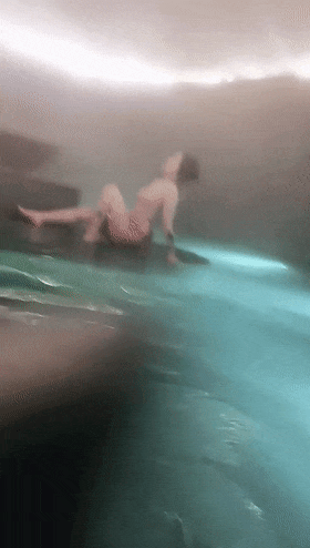 5.gif