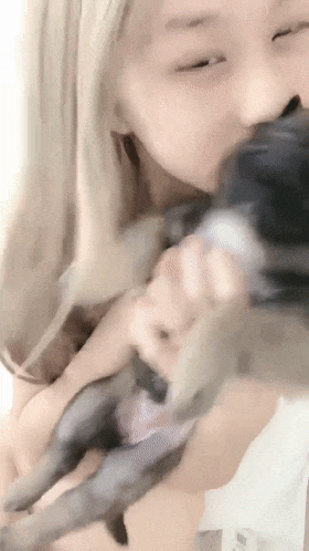 3.gif
